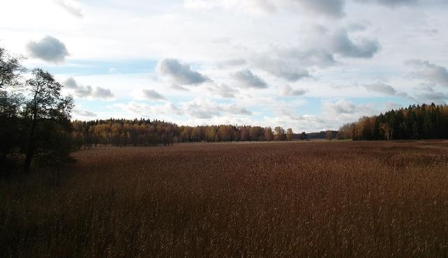 Suojelualueilla kulkija sitoutuu käytön rajoituksiin Herkillä alueilla kulkija pysyy merkityillä poluilla.