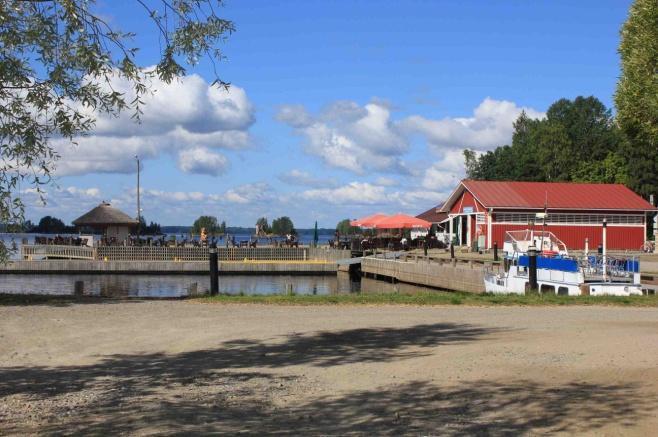 Sembramäntyrivi julkisivun puolella. Kookas, komea ja kerroksellinen koulurakennus.