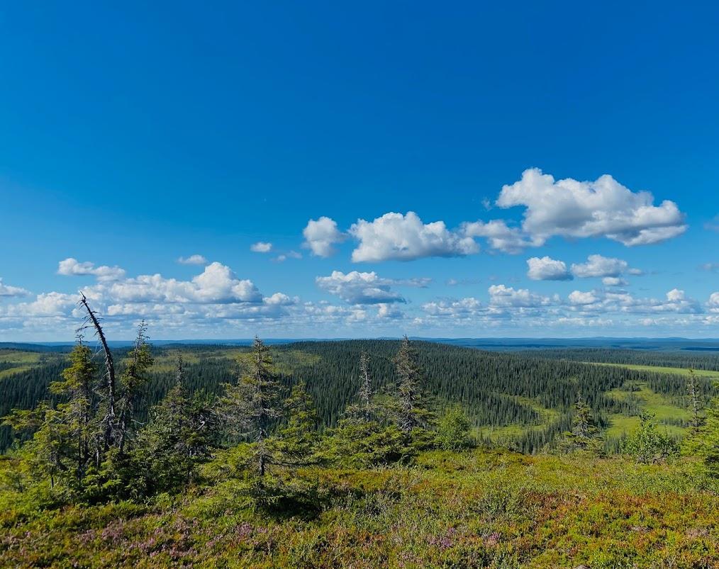 Nuorten vaellusleiri 2020 Aloitustapaaminen, Teams Tervaniemi, tutustuminen Nuuksio, Korpinkierros