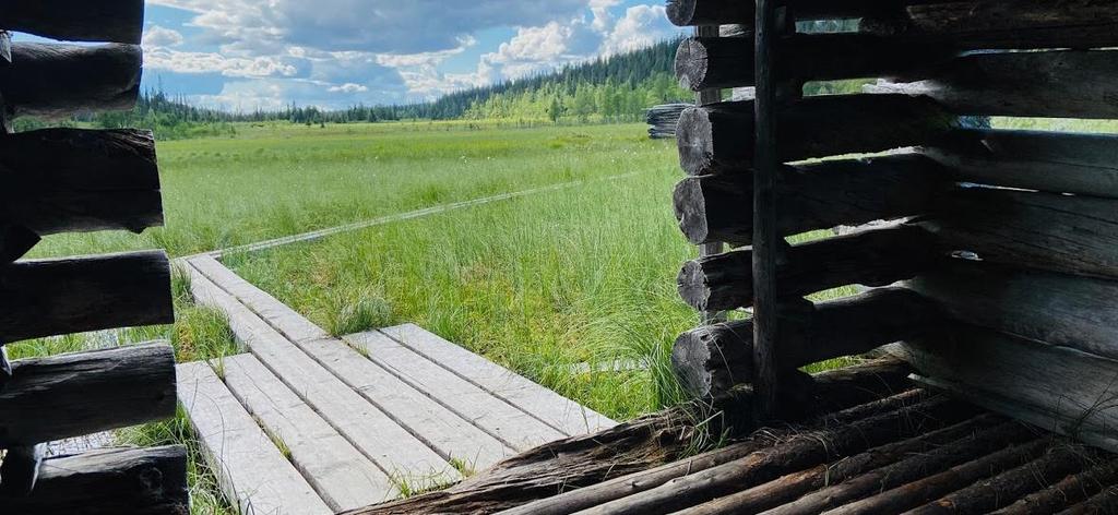 Ohjaajina kuitenkin mahdollistimme nuoren saavan kokemuksen myös siitä, että omista valinnoista huolimatta ryhmän yhteisistä suunnitelmista ja tavoitteista pidetään kiinni ja että ne täyttyisivät.