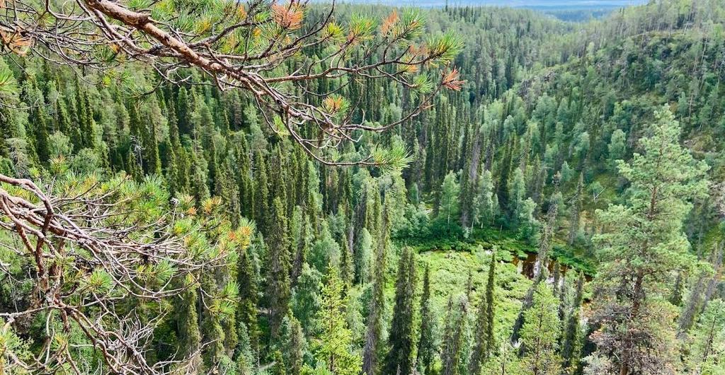 Nuorten valintaan vaellukselle on jatkossakin hyvä kiinnittää huomiota. Koemme tärkeäksi nuoren ja tämän vanhemman motivoinnin vaellukselle lähtiessä.