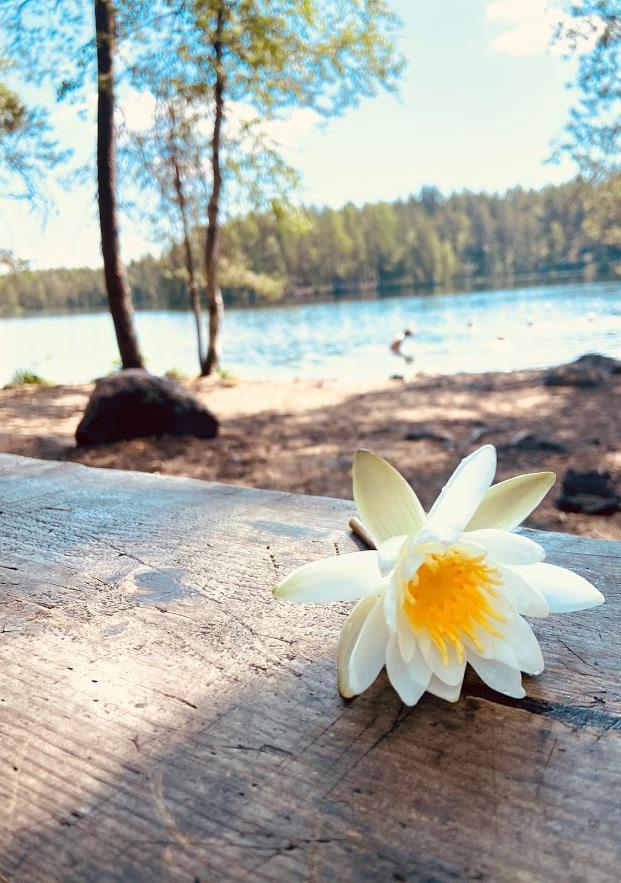 24.6.20 Harjoitusvaellus, Nuuksio Harjoitusvaellus toteutettiin Nuuksion kansallispuistossa. Reitiksi valikoitui vajaan 10 km:n mittainen Korpinkierros.