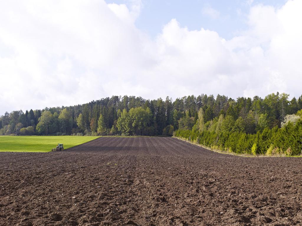 Tavoitteemme on saada myös humalaa viljelyyn, mutta emme ole vielä löytäneet sopivaa paikkaa tai lajiketta. Toivon mukaan jonain päivänä pystymme tuottamaan myös luomuolutta, Henrik miettii.