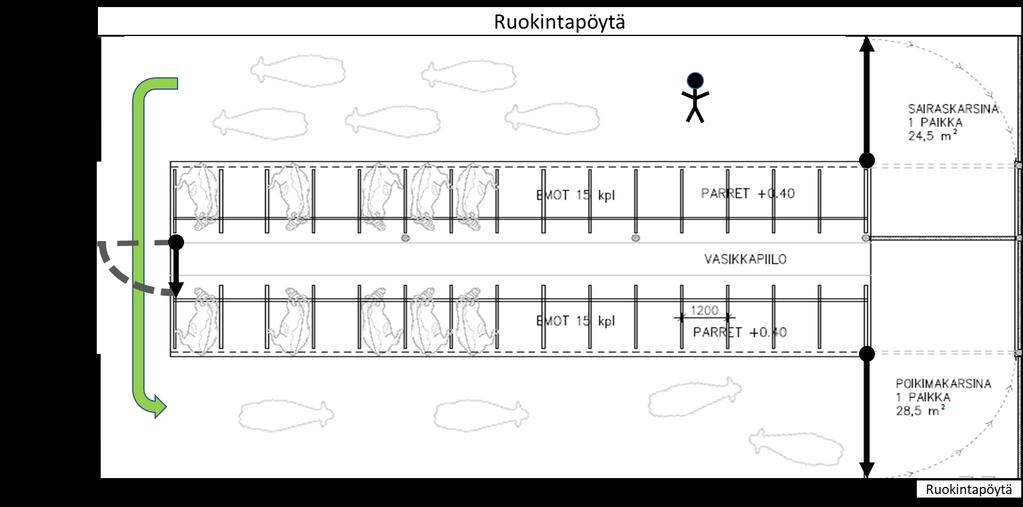 Ryhmän siirtely, malli 2 Navetan yhden puolen hiekkojen ja lannanpoisto onnistuu ajamalla kaikki eläimet toiselle puolelle navettaa, ja