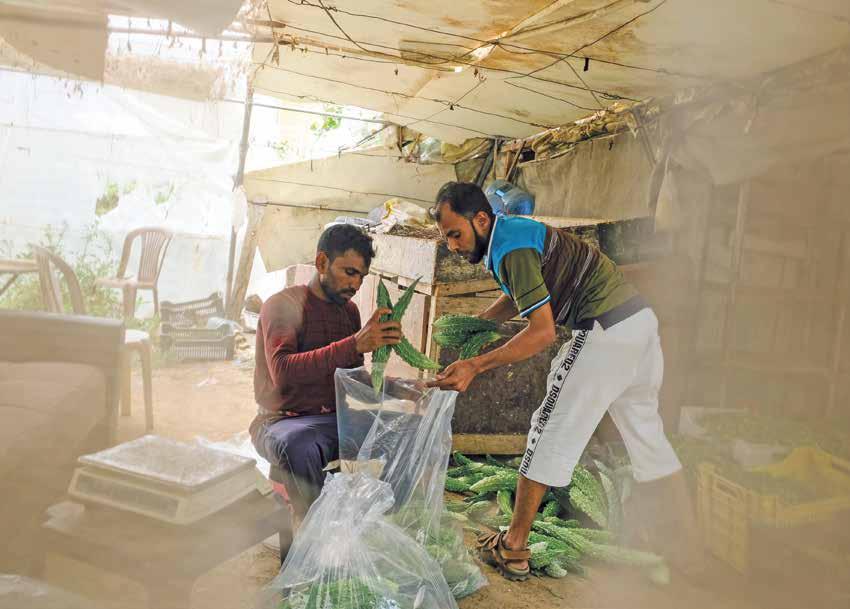 32 33 Bangladeshilainen MD Karon on yksi sadoista tuhansista siirtotyöläisistä Libanonissa.