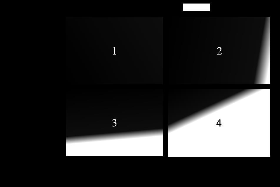 partners are not a limitation. Both assumptions are highly binary and limit the validity of the framework.