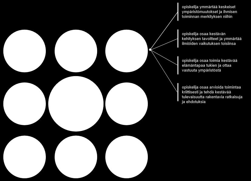 14 Kuva 2. Elinikäisen oppimisen avaintaidot ammatillisessa koulutuksessa. Kestävän kehityksen tavoitteiden tulee kytkeytyä tiiviisti opetukseen ja oppilaitosten jokapäiväiseen toimintaan.