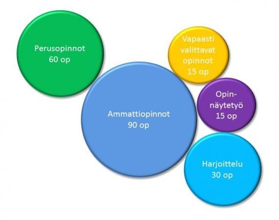 AMMATTIKORKEAKOULUT Tutkinnon laajuus 210-270 op eli noin 3,5-4,5 vuotta = alempi korkeakoulututkinto Opetuksessa yhdistyvät teoria ja käytäntö Kontaktiopetusta, projektiopintoja, itsenäistä