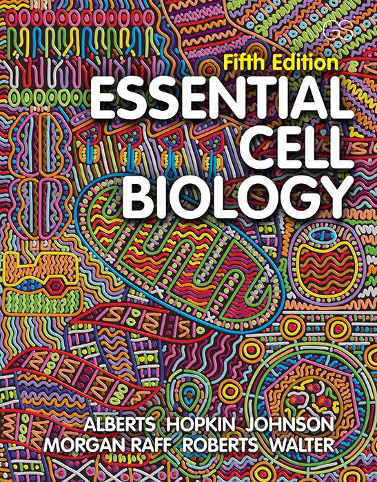 Chapter 17 Cytoskeleton Cytoskeleton = solun sisäinen tukiranka Mitä tämä tarkoittaa?