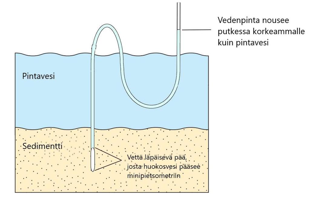 30 sedimentin huokostiloissa oleva pohjavesi nousee minipietsometrin letkuun, josta vettä pumpattiin letkusta imemällä sitä ruiskulla.