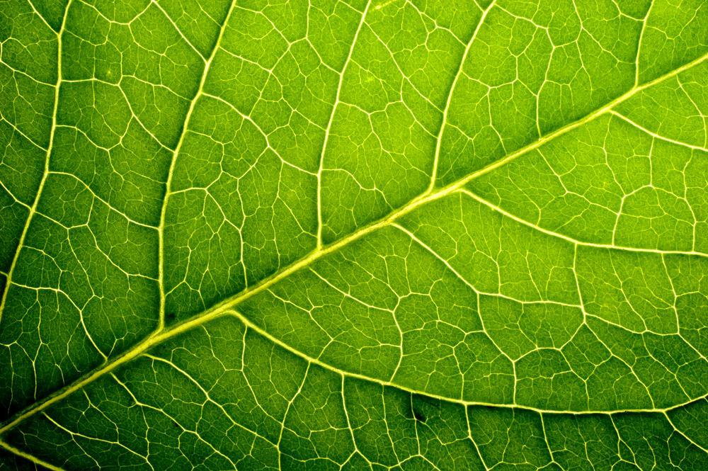 OLAN OMA ILMASTO-OHJELMA Orimattilan Erkko-lukiolaisten aloitteesta Orimattilalle on laadittu oma ilmasto-ohjelma ja kaupunki on liittynyt suomalaisten hiilineutraalien kuntien (HINKU) verkostoon.