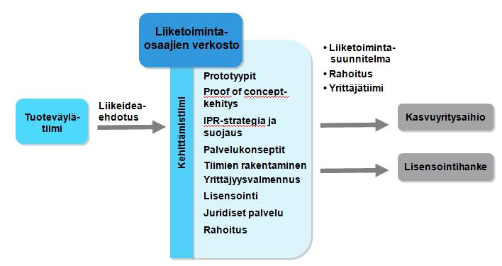 Mikä on kehittämisvaihe?