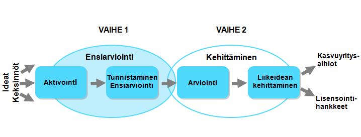 Ideasta liiketoimintaa?