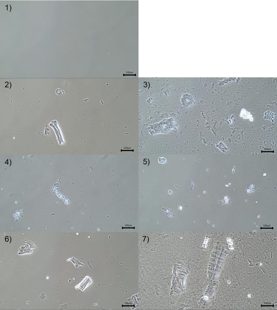 41 Figure 6. Microscopic images of dopes.
