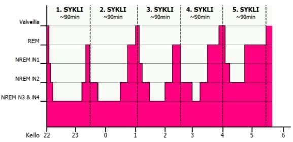 10 (56) KUVA 1. Hypnogrammi (Hatula & Veivo 2020, mukailtu Walker 2019, 55) NREM-uni vaikuttaa muistijälkien syntymiseen ja niiden vakiintumiseen aivoissa.