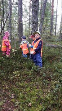 Oppimisen alueet Lapsille sisäistetään, että Myrskylä on itäuusimaalainen maaseutukunta, jonka luonto ja maisema on järvineen ja harjuineen hyvin vaihteleva.