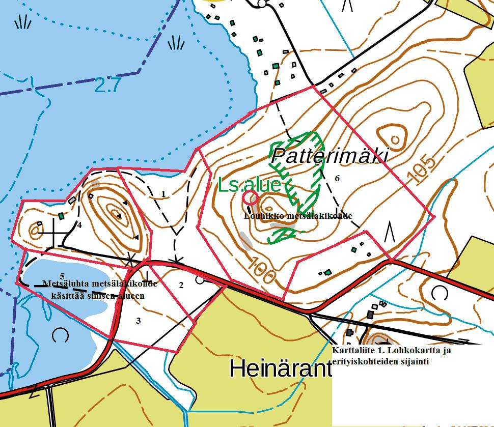 Suomen Luontotieto Oy JYVÄSKYLÄN SALOLAN LOPEN KESIJÄRVEN TUULIPUISTOHANKKEEN RANTA-ASEMAKAAVA-