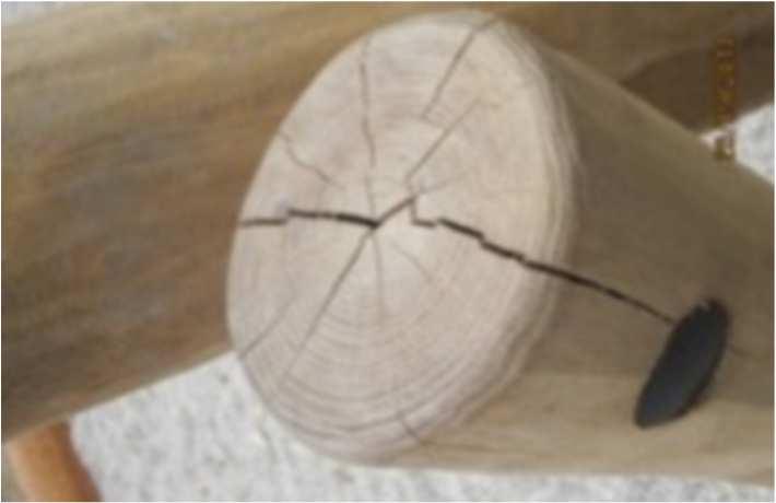 Robinia Robinia on muiden puulajien tapaan orgaaninen luonnonmateriaali Robinia-puussa voi olla oksankohtia, halkeamia ja muita kulumisen merkkejä.