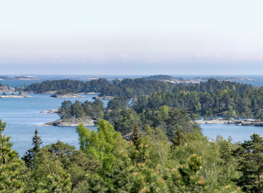 Vertailua aiempaan tutkimukseen Verrattuna edelliseen vuoden 2012 Tammisaaren saariston kansallispuiston kävijätutkimukseen (Weckman 2013) tässä tutkimuksessa: Kävijöiden rahankäytön