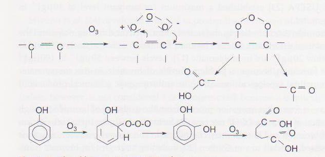 14 FIGURE 3. Plausible aqueous reactions with ozone (Gottschalk & Co 2010, 17) The indirect reaction of ozone bases on radical formation.