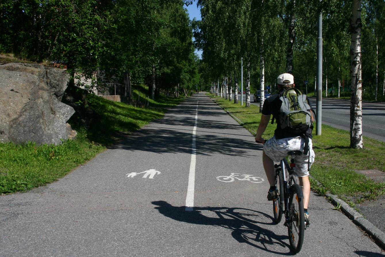 K. Vaismaa 5 Alustavat kärkitoimenpiteet 5.