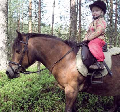 Tavoitteena terve ja hyvinvoiva hevonen 13 Pitopaikka ja sellaiset laitteet, jotka vaikuttavat eläinten terveyteen ja hyvinvointiin, on tarkastettava vähintään kerran päivässä.