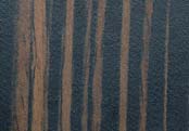 Graphic Bamboo L211