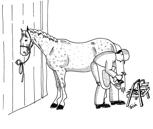 Ratsastusvalmentajalla on usein ratsastuksen sisällä erityisosaaminen jostain ratsastuksen lajista. Ravivalmentajan tehtävä on valmentaa hevosta laatimansa harjoitussuunnitelman mukaisesti.