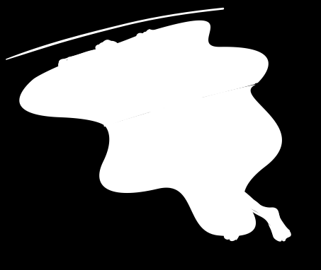 Uimahallit ja niissä käyminen (Katso myös kuvasarja sivuilla 16 18 ) Uimataitoa ja terveysliikuntaa Suomen luonnossa on paljon
