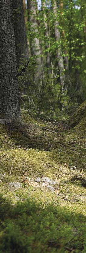 Ihmissuhteet Ihminen tarvitsee yksityisyyttä ja yhdessäoloa toisten kanssa.