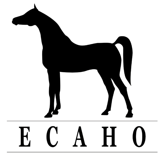 ECAHO INTERNATIONAL C SHOW 30.7.2011 Näyttelypäivä Forssan Pilvenmäellä oli aurinkoisen kaunis ja hyvä niin, sillä näyttely pidettiin ulkona.