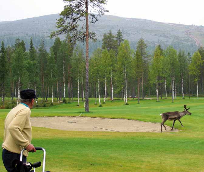 Kauden uudet 18-reikäiset 6 Maassamme avattiin vuonna 2008 kolme uutta 18-reikäistä golfkenttää: Hirvihaara, Tahko New ja Levi. Nyt meillä on 105 18-reikäistä.