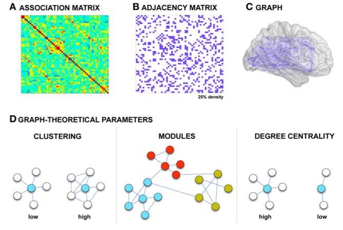 GRAPH-THEORETICAL ANALYS Berndhardt et al.