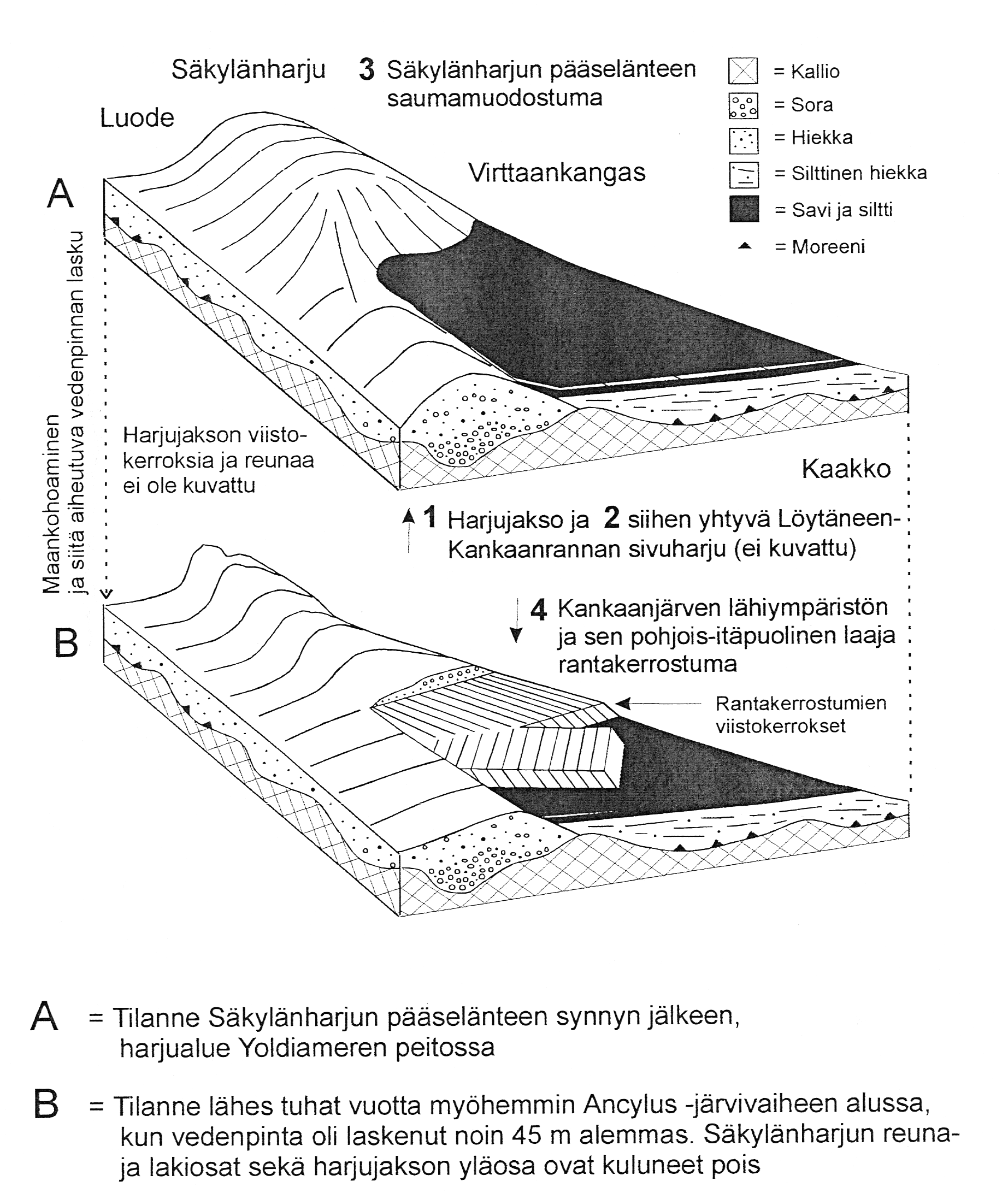 24 Varsinainen harjuosa ja siihen liittyvä Löytäneen - Kankaanrannan sivuharju Harjun synty ja kehitys on tapahtunut kahdessa vaiheessa.