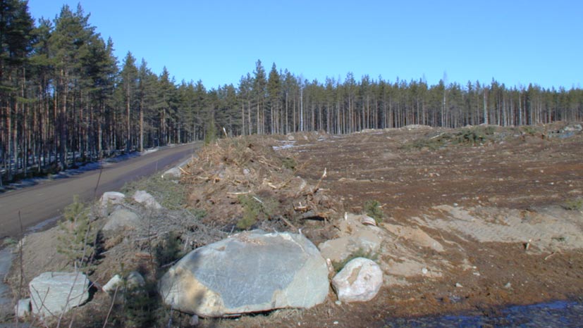 käynnissä Maisemointi ei ole toteutunut Maisemointi toteutunut osittain