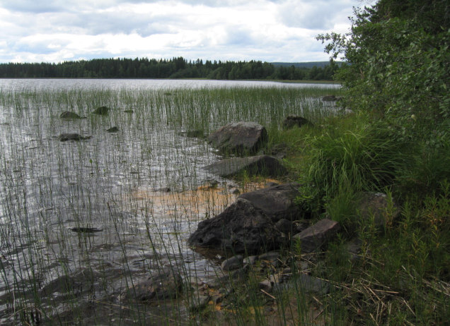 Putkosjoen itäpuolella, aivan joen tuntumassa sijaitsevalla kuusimetsiköllä on kerroksellisuutta ja se on luonnontilaisen kaltainen, joskaan siellä ei ole kaatunutta maatuvaa puuainesta.