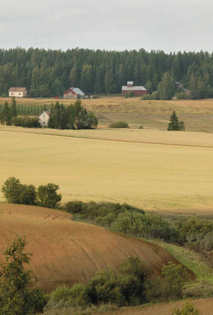 MAANMITTAUSLAITOS Peltoalueiden tilusrakenne ja sen