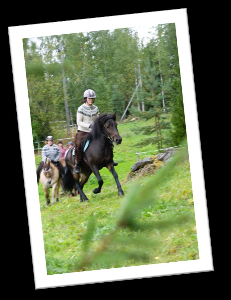 Tallilla lainattavissa kypärät, turvaliivit ja haalarit ratsastajille, sekä muita lämpimiä lisävarusteita tarvittaessa. Ilmoitathan mahdollisista allergioista jos ohjelmaan kuuluu ruokailua.