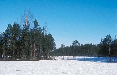 b) Metsälain 10 :n mukaiset erityisen tärkeät elinympäristöt (MetsäL 1093/1996) (4/7) 4.