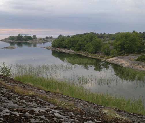 3. Suojelun nykytilanne Panu Kunttu / WWF Suomi Saaristomeren kansallispuistoon kuuluvassa Stora Hästössä on ihanteellinen luonnonsatama.