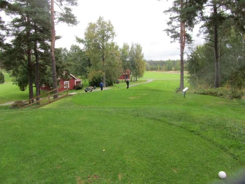 suuri. Osa bunkkereista on jo niin huonossa kunnossa, että aktiivisellakaan hoitotyöllä niitä ei saada pidettyä kunnossa. Lisäksi on muutamia ns.