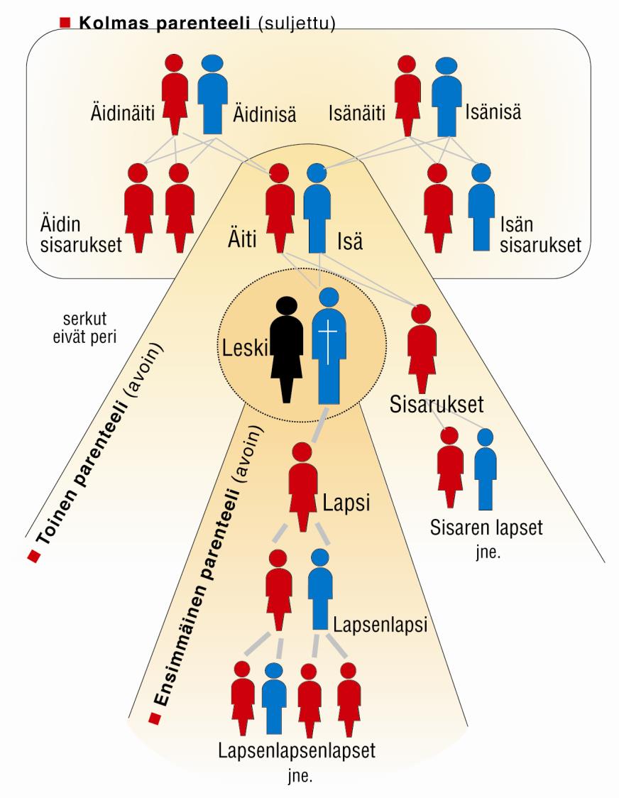 Perillisenä voi myös olla perittävän sisar- tai velipuoli oman vanhempansa jälkeen. Tässä toisessakin parenteelissa vallitsee rajaton sijaantuloperimysoikeus.