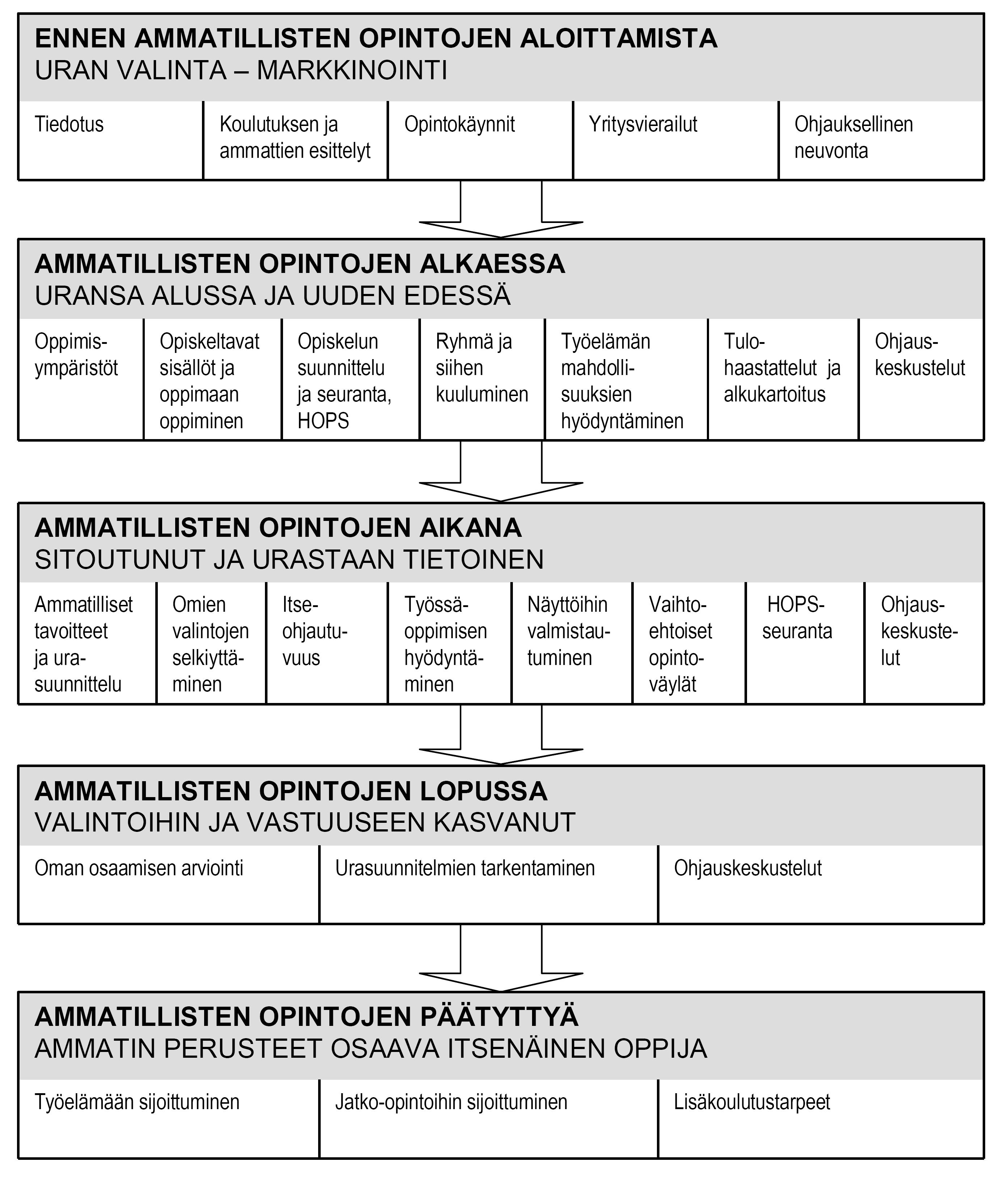 42 Kuvio 3: Opiskelijan opinto-ohjauksen eteneminen opintojen eri vaiheissa 7.