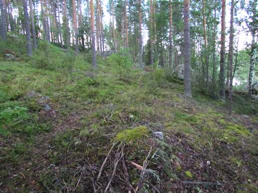 Vilkalahden länsiosan ojitettu puro. Kuva 16.