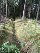 UOMAN PITUUS (km) 0,5 Pulesjärvi RAKENTEET 2 rumpua/putkea Osittain luonnontilainen. Luultavasti osaa uomasta kaivettu joskus.