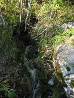 UOMAN PITUUS (km) 2,3 Iso-Viljamoinen RAKENTEET 1 rumpu/putki ARVIO VEDEN LAADUSTA - Ei erityisiä luontoarvoja puroympäristön kannalta.