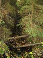 UOMAN PITUUS (km) 0,53 Tiikonoja RAKENTEET 1 rumpu/putki ARVIO VEDEN LAADUSTA Humusvettä Ei erityisiä luontoarvoja puroympäristön kannalta.