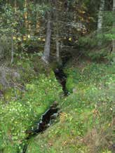 UOMAN PITUUS (km) 1,2 Yläinen Pitkäjärvi RAKENTEET 1 rumpu/putki ARVIO VEDEN LAADUSTA Humusvettä Ei erityisiä luontoarvoja