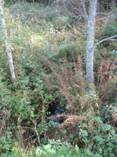 UOMAN PITUUS (km) 2,1 Velaattajärvi RAKENTEET 1 rumpu/putki ARVIO VEDEN LAADUSTA Runsashumuksista vettä Ei erityisiä luontoarvoja puroympäristön kannalta.