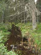 UOMAN PITUUS (km) 2,6 Kaustaranjärvi RAKENTEET 1 rumpu/putki ARVIO VEDEN LAADUSTA Kirkasvetinen Ei erityisiä luontoarvoja puroympäristön kannalta. Ei asemakaavaa.
